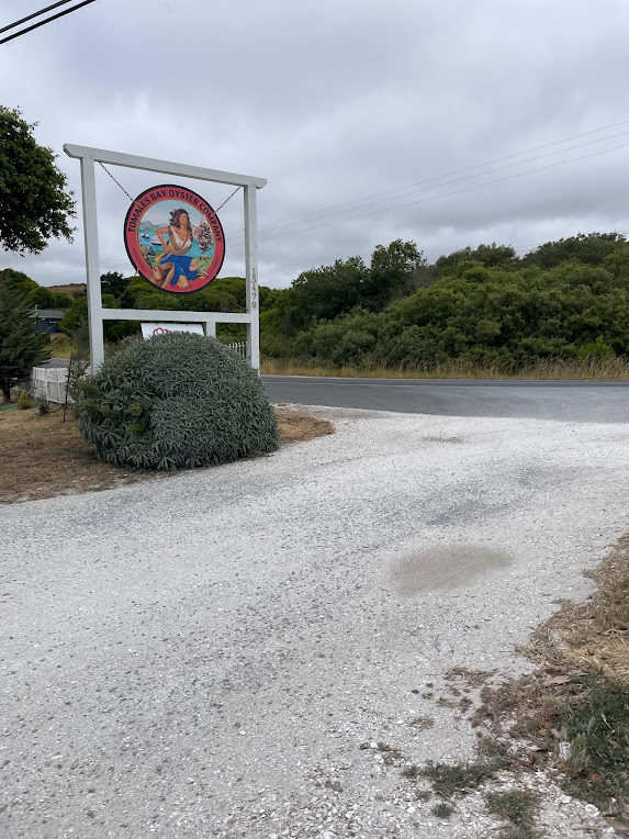 Dog Friendly Summer Sunday Trip to Tomales Bay Pawrent Adventures