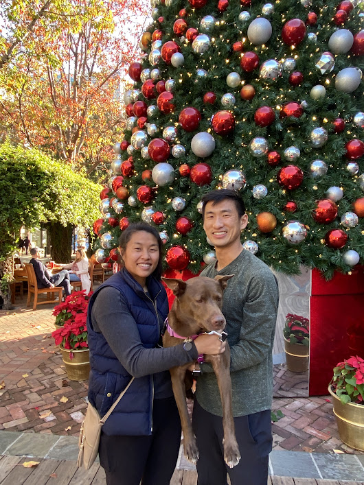 Ultimate Dog Lover's Guide to Bay Area Holiday Fun - Pawrent