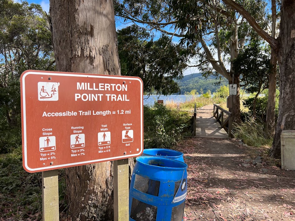 Dog Friendly Summer Sunday Trip to Tomales Bay Pawrent Adventures